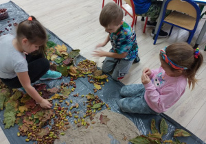 dzieci segregują dary jesieni